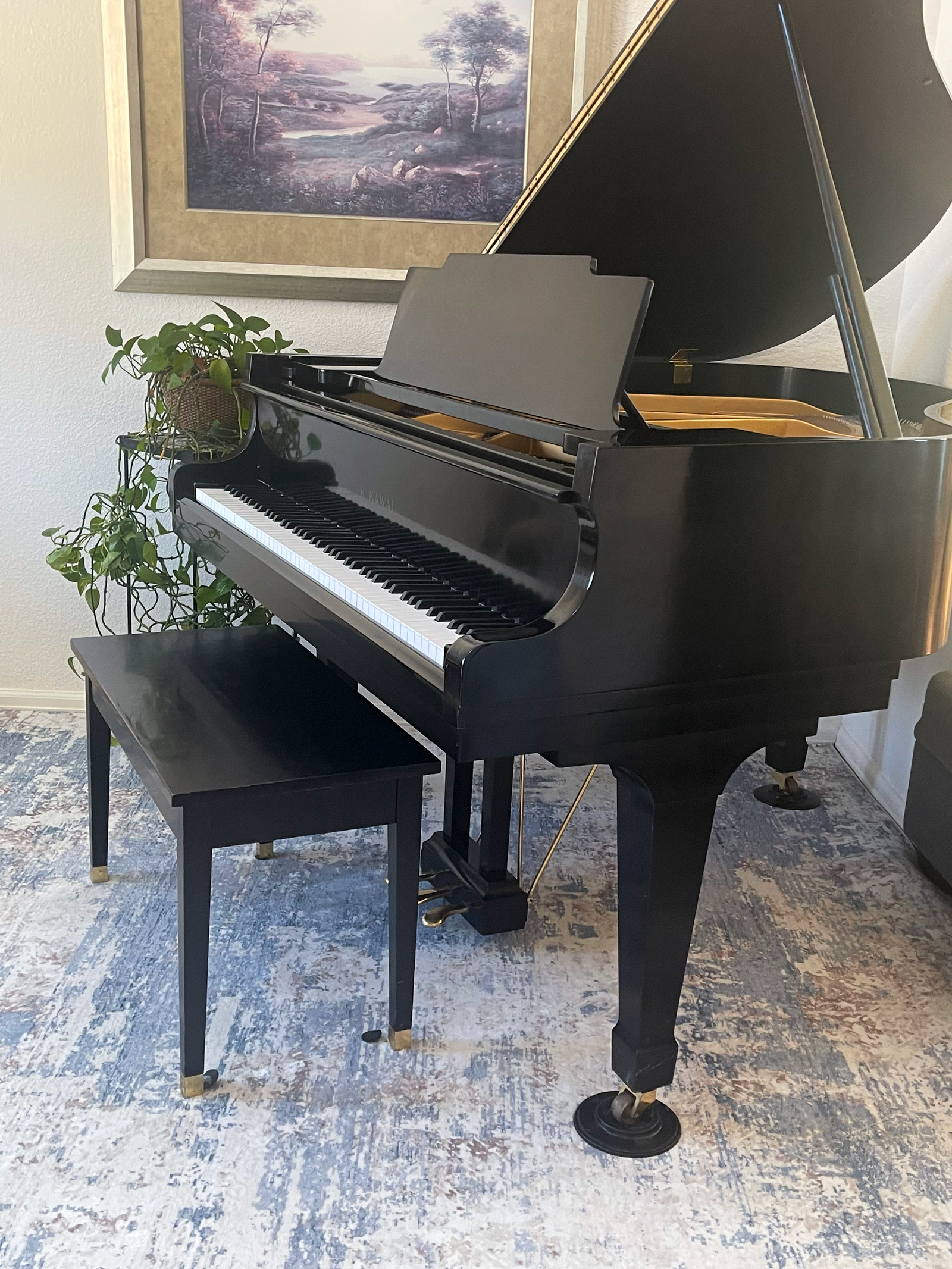 Kathlyn — guitar and piano teacher in Frederick CO